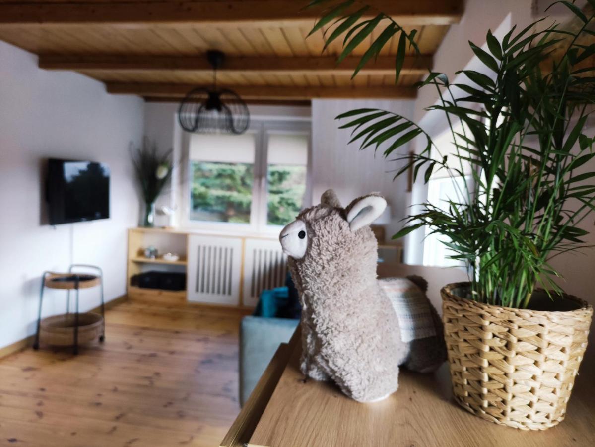 Apartment Swietokrzyska Sielanka Miedziana Gora